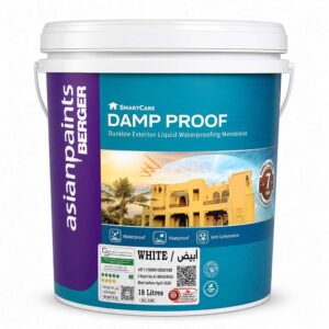 Asian Paints Berger 18L SmartCare Damp Proof