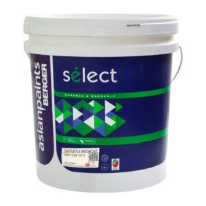 Asian Paints Berger 32kg Select Tartaruga Roughcast – White